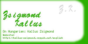 zsigmond kallus business card